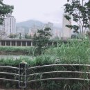 FMD식단으로 편하게 다이어트했어요~