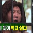 라쿵푸 이미지