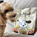 소프트큐브 | 입 짧은 강아지 말티푸 사료 고민 끝, 한끼뚝딱 소프트 황태와 연어 내돈내산 후기