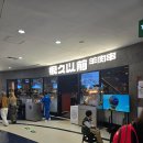 셋째날 | [내돈내산] 중국 상하이 4박5일 셋째날(1) 여행후기✈️