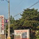 여주고추장불고기