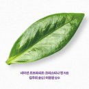 맞춤형건강클리닉 이미지