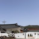 배동스테이 이미지