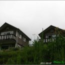 향기나라사랑이 이미지