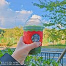 우리집코코 | 스타벅스 메뉴 음료 코코말차 케이크팝 후기