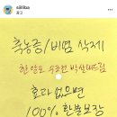 애니브릿 | 어린이비염 호흡기유산균 브릿키즈 일주일 복용 후기