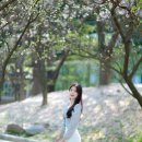 효원공원 이미지