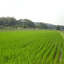 지평농장 이미지