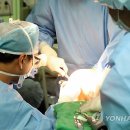 서울나은병원 이미지