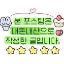 요모코네 네이버블로그
