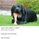 공감 이미지