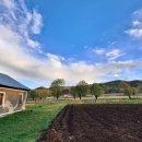 라이브민박 이미지