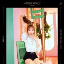 네이처(Nature) 이미지