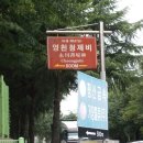 영천 청제 이미지