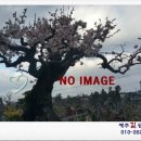 부림공인중개사사무소 이미지