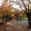 문정근린공원 이미지