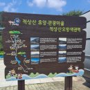 오방색권역 이미지