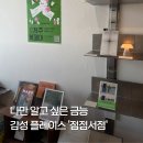 [제주 협재 독립서점] 나만 알고 싶은 금능 감성 플레이스 '점점서점' 솔직 후기!