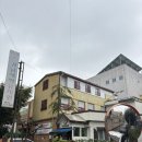 강남새싹유치원 이미지