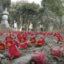 강진 바스락길 이미지