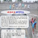 한국체대 백궁 태권도장 이미지