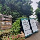 시완농장 | [제주도가볼만한곳/제주아이와가볼만한곳] 젖소먹이주기 체험을 하며 자유롭게 뛰어놀 수 있는 제주...