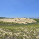 학암포항 이미지