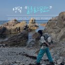 폴리타운B 대게나라 앞 | 영덕 백패킹, 블루로드 B코스 트레킹 후 회에 쏘주까지 완벽했다.