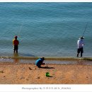 방아머리 이미지