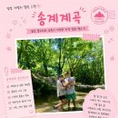 송계당 | 송계계곡 물놀이 후기, 시원한 계곡 찾는다면 여기 어때?!