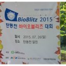 탄동천2 이미지