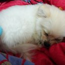 몽글 몽글 이미지