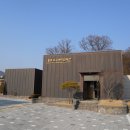 장미길코스 티스토리