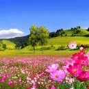 월드복권방 이미지