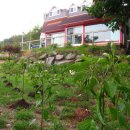 좋은아침팬션 이미지