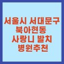 서울시 서대문구 북아현동 사랑니 발치 통증 가격비용 병원추천 대학병원발치비용 발치후식사