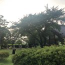 만옥정길 이미지