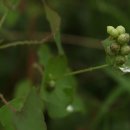 학산농장 이미지