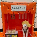 멍뭉펫 이미지