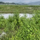 인월보리밥 | 지리산 둘레길 2코스(운봉-인월) 혼자 다녀온 후기