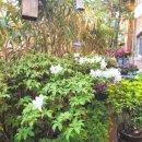 방배로32길 17 이미지