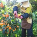 고을농장 이미지