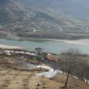 매화랜드 이미지