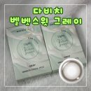 스윗그레이 | 다비치 라이트 벨벳스윗 그레이 내돈내산 솔직후기