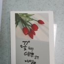 용머리초등학교 이미지
