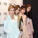 피에스타 이미지