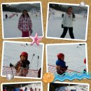 용인대석사체육관 이미지