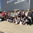 법인성암인섹트