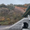 제주불교성지 순례길 절로 가는길 - 인욕의 길 | 제주 가볼 만한 곳 단풍 명소 천왕사 조용한 사찰