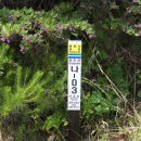 운주산 등산로 이미지